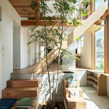 homes featuring verdant indoor trees