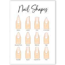 nail shape guide chart salon beauty