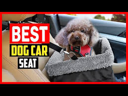 Top 5 Best Dog Car Seat In 2023