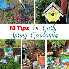 Early Spring Garden Projects