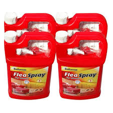 zep 1 gal flea spray for homes case