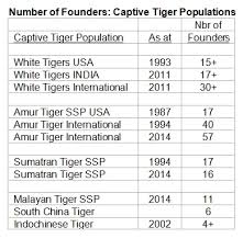 White Tigers Descended From 30 Founder Tigers White Tigers