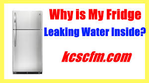 why is my fridge leaking water inside