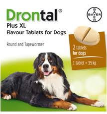 Drontal Wormer Guide Why Pets Need Drontal Vet Medic