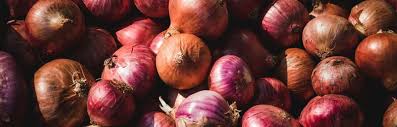 How To Onions For Fresh Garden