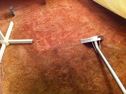 paul s carpet cleaning services