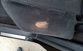 remove rust stains from car carpet in