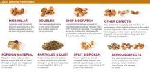 How do you choose the best quality almonds?