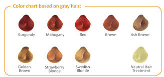 Hair Color Charts The Green Beauty Shop