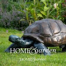 Large Tortoise Home Garden Uk