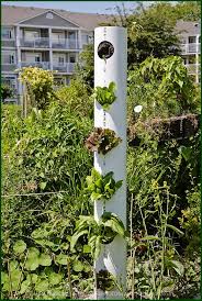 vertical vegetable gardens
