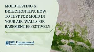Mold Testing Detection How To Test
