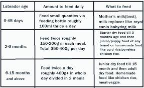 Interpretive Daily Nutrition Chart For Foods 2019