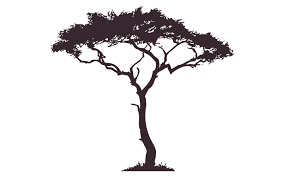 1118x1390 african tree silhouette stock photos amp african tree silhouette. Pin By Botha Boshoff On Vbs Tree Sketches African Tree Tree Drawing