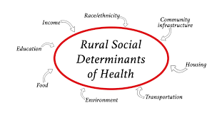 Social Determinants Of Health Transforming The Buzz Phrase