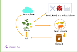 agriculture and nutrient cycling