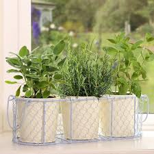 Kitchen Windowsill Herb Planters
