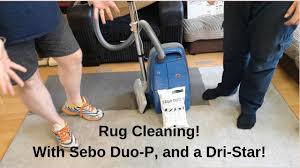 dry cleaning my filthy rug sebo duo p