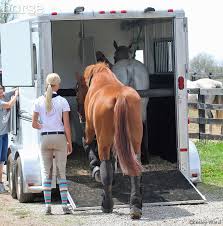 don t own a horse trailer here s what