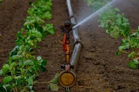 Sprinkler Irrigation Design Layout