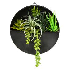 Round Air Plant Wall Decor Metal And
