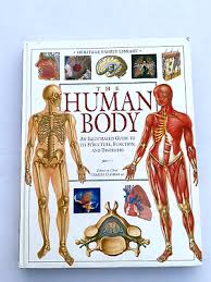 1995 the human body an ilrated