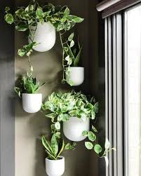 Wall Mounted Planters Indoor
