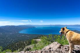 22 local lake tahoe hikes with jaw