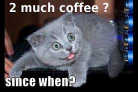 Image result for too much coffee