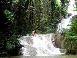 enchanted garden jamaica ocho rios tour