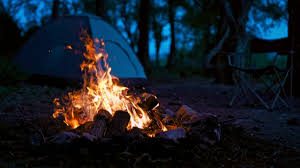 Campfire in the woods at night - Free Stock Video