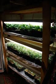 Indoor Vegetable Garden Diy Indoor Garden
