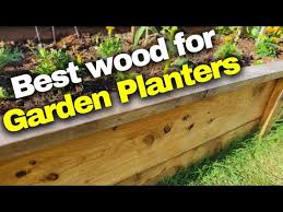wood species for raised bed planters
