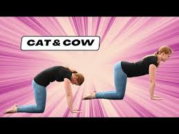 cat cow stretch cat cow pose step by