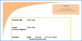Combination format blank resume template free pdf. Download Blank Cv Templates Cv Plaza