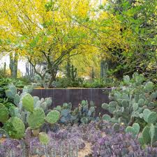 explore desert botanical garden