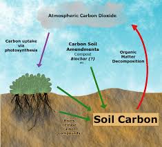 biochar and carbon sequestration