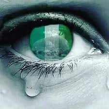 Image result for one nigeria