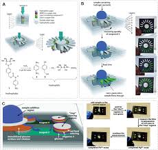 Microfluidics Implemented Biochemical Assays From The