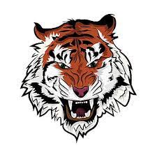 tiger face png transpa images free