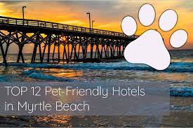 pet friendly hotels in myrtle beach