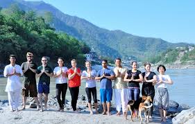 vinyasa yoga teacher training india