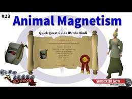 Another slice of h.a.m./quick guide; Ä¯tikinamas Ä¯tarimai Sutarimas Animal Magnetism Guide 701builder Com