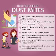 how to get rid of house dust mites