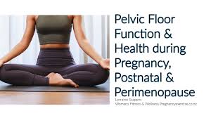 pelvic floor function health during