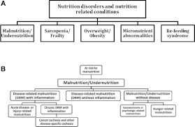 espen guideline on clinical nutrition