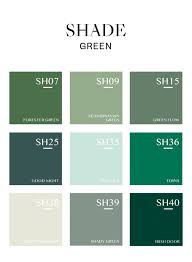 Shade Green Superior Wall Paint