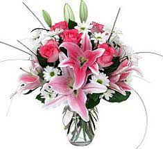 We did not find results for: Italy Flower Delivery Send Flowers To Italy Canada Flowers Ca