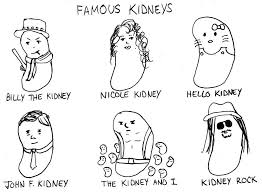 If you or a loved one has ever passed a. Jokes About The Kidney Kidney Transplant Quotes Kidney Stones Funny Kidney Transplant