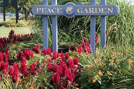 Best Flowers For A Peace Garden